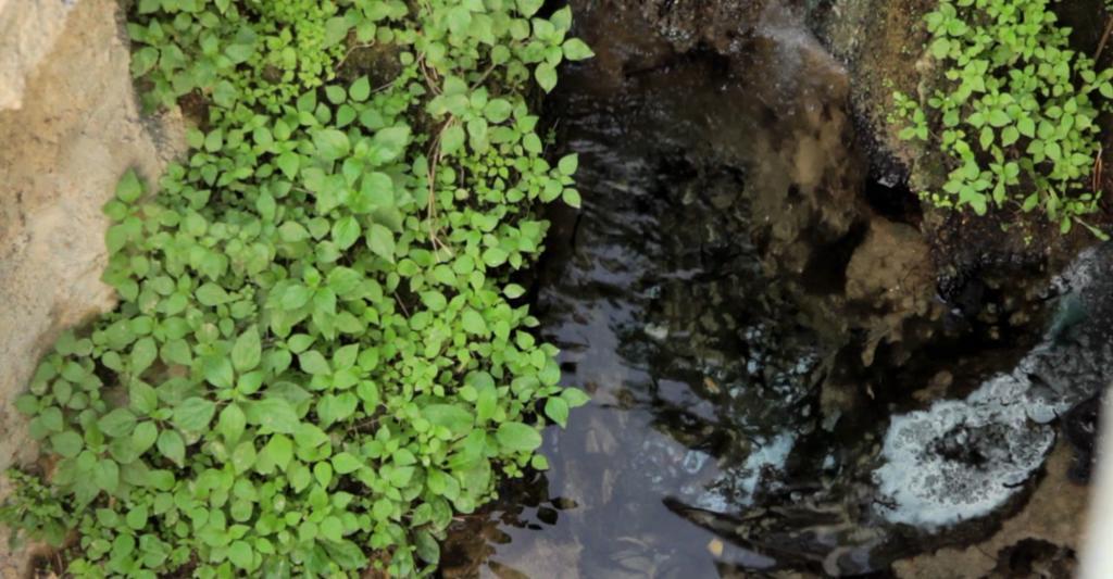 Apartmán El Rincon De Resu Los Banos  Exteriér fotografie